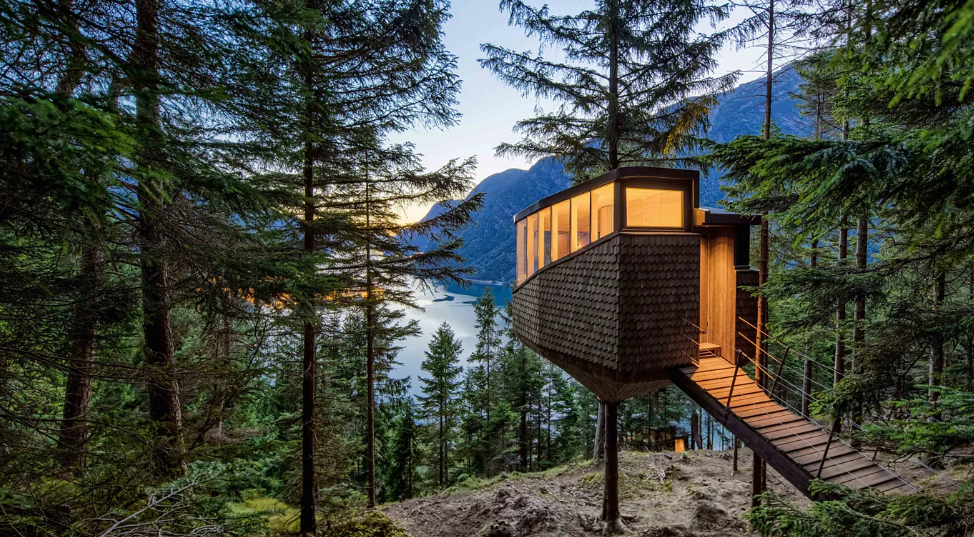 逃离地心引力：全球十大最壮观的树屋，找回你童年的避难所