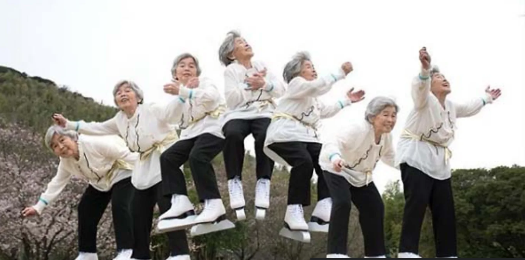 Ikigai 与社会联结：日本人能教会我们哪些“优雅老去”的秘诀？