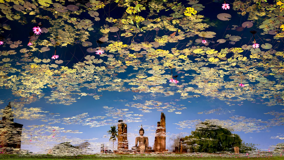 镜头下的失落与希望：2025 年度旅行摄影师奖（TPOTY）揭晓